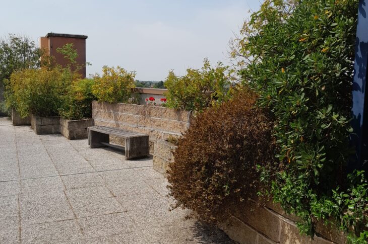 Angolo del terrazzo panoramico con giardino.