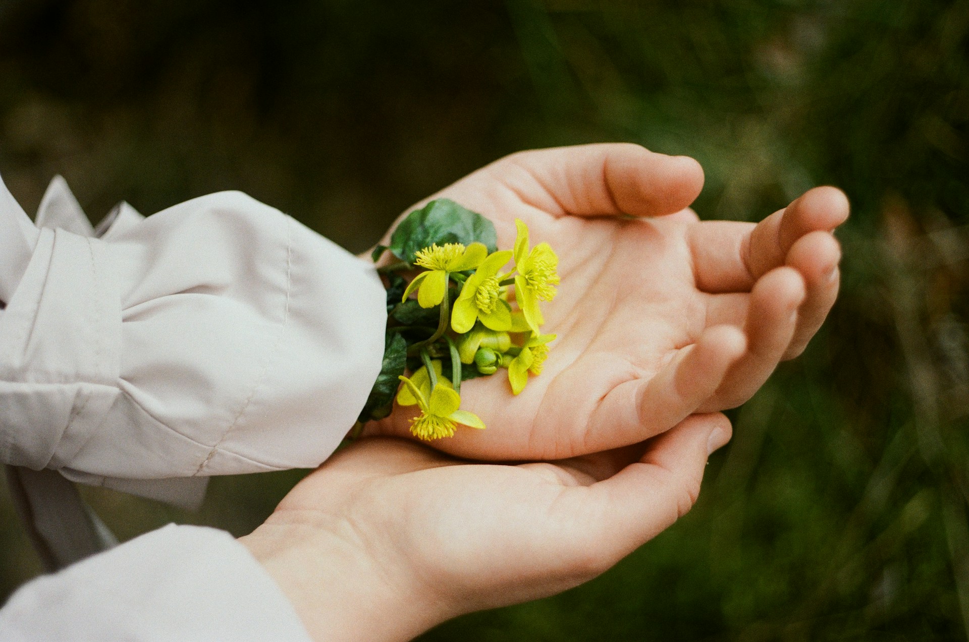 Persona con fiori in mano